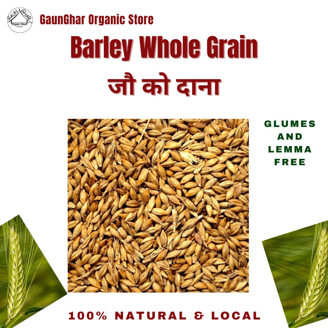 Barley Whole Grain 500 gm